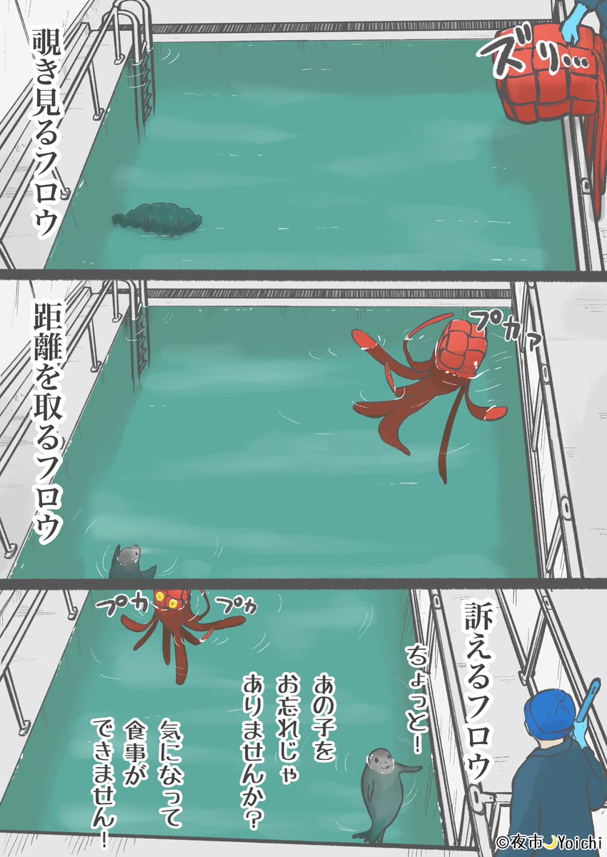 yoichi_yoi_yoi's tweet image. 先週のタコニキとFlow🐙🦭
投入直後のピリつきと慣れてからのタコニキ大好き加減が可愛かったな☺️
卒業おめでと〜㊗️🎊

 #アザラシ幼稚園 #漫画 #seal