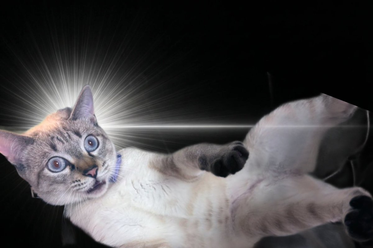 MaPRE®︎ねね tweet media