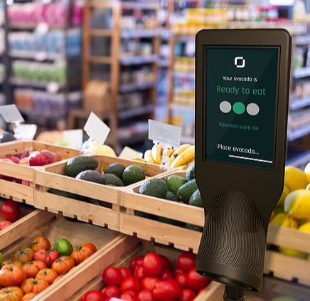 Avocado Farming tweet media