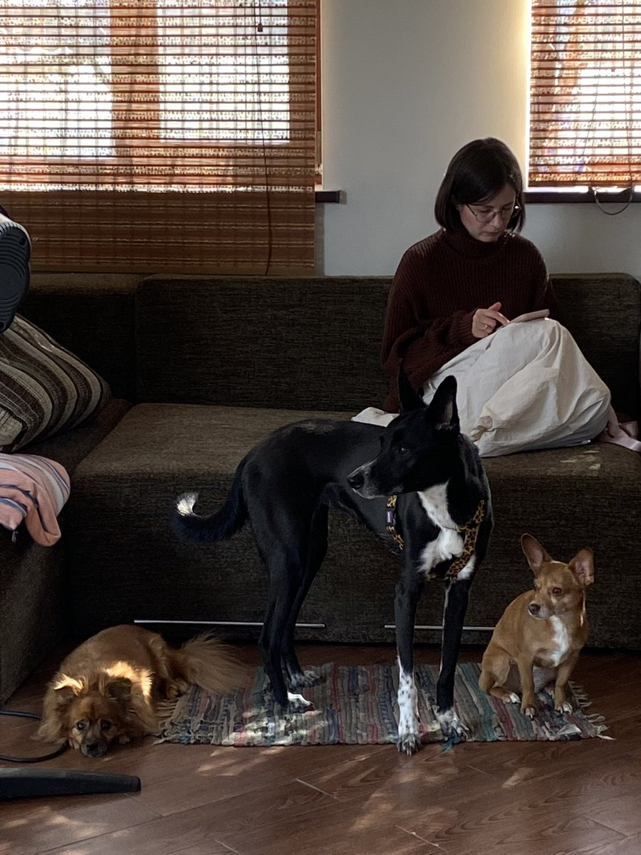 Даша з Херсона з трьома псами і з Данєю tweet media