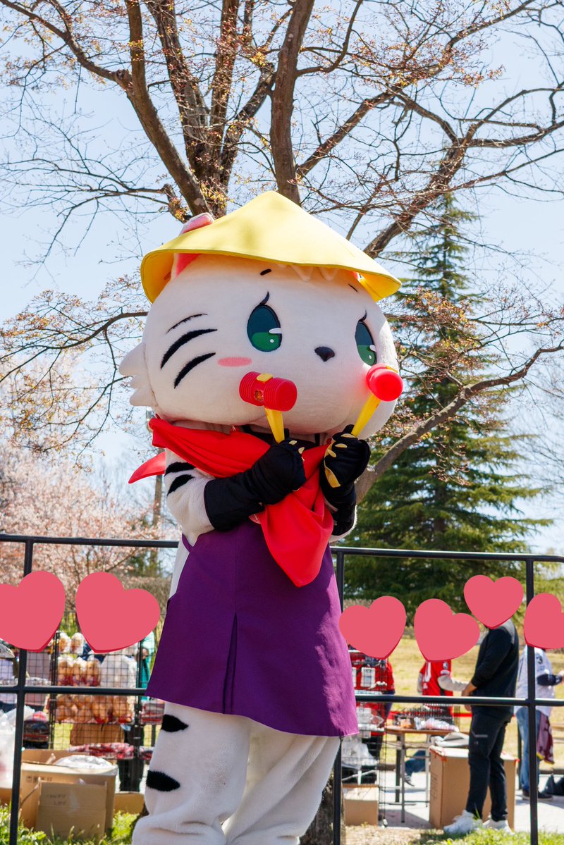 ダブルハンマー虎百
#福島ユナイテッド
#虎百