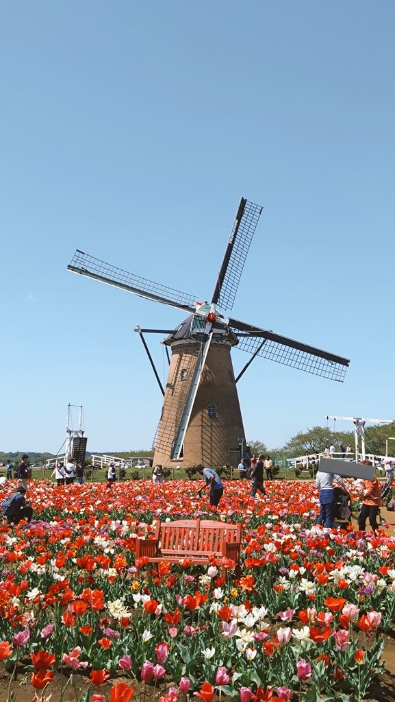 S.Transportar tweet media