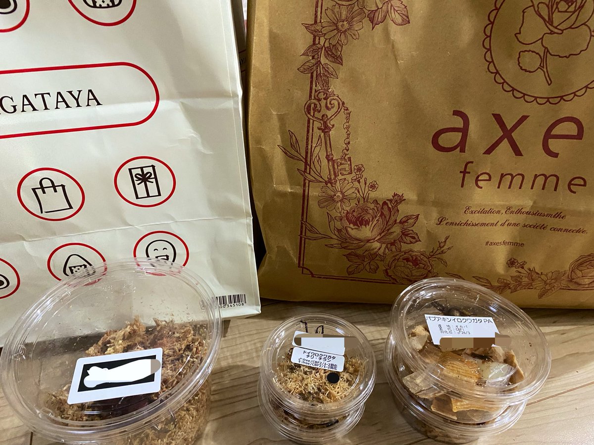 Mos*3@カブクワ tweet media