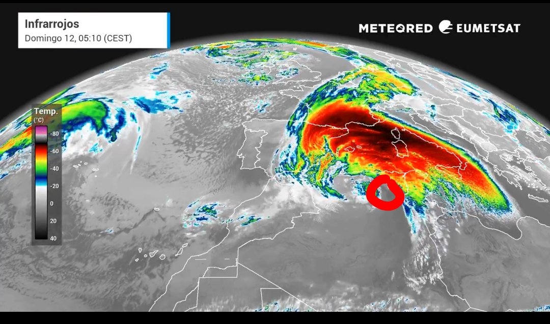 Real Science tweet media