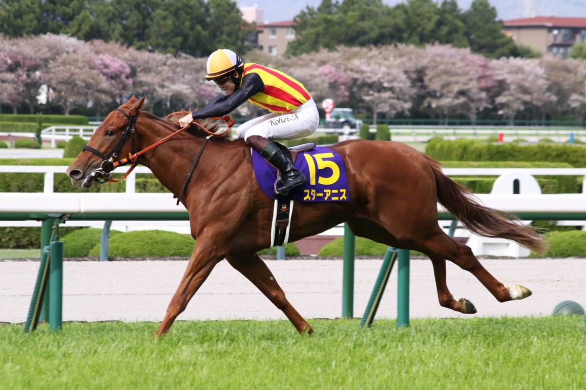 taka.m(分場) tweet media