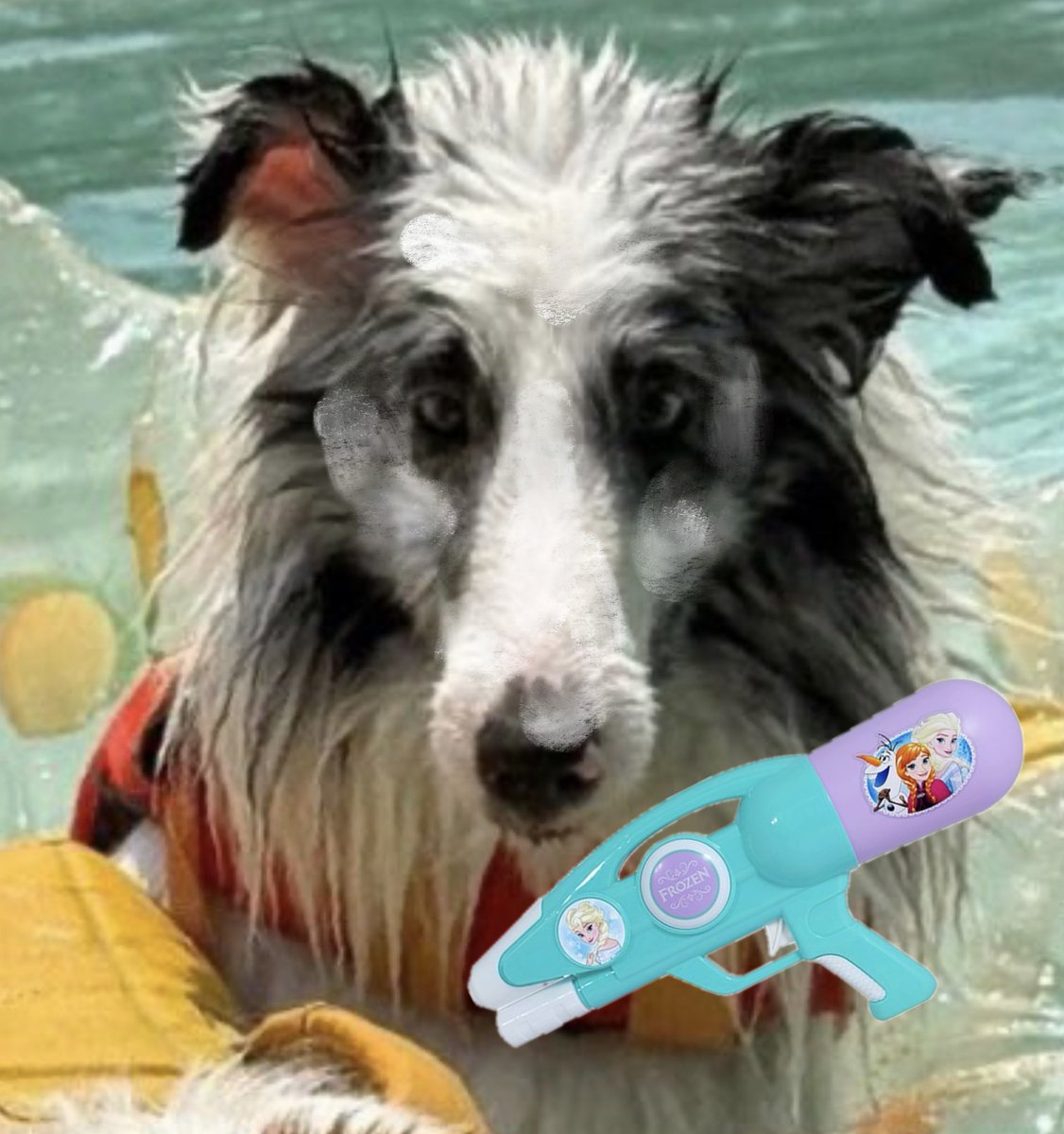 𝘀𝗮𝗹𝗮𝗱 tweet media