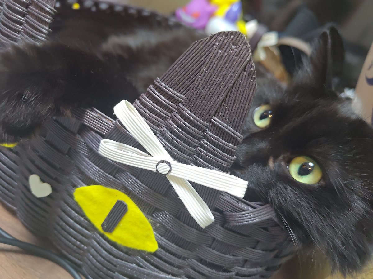 まるん tweet media