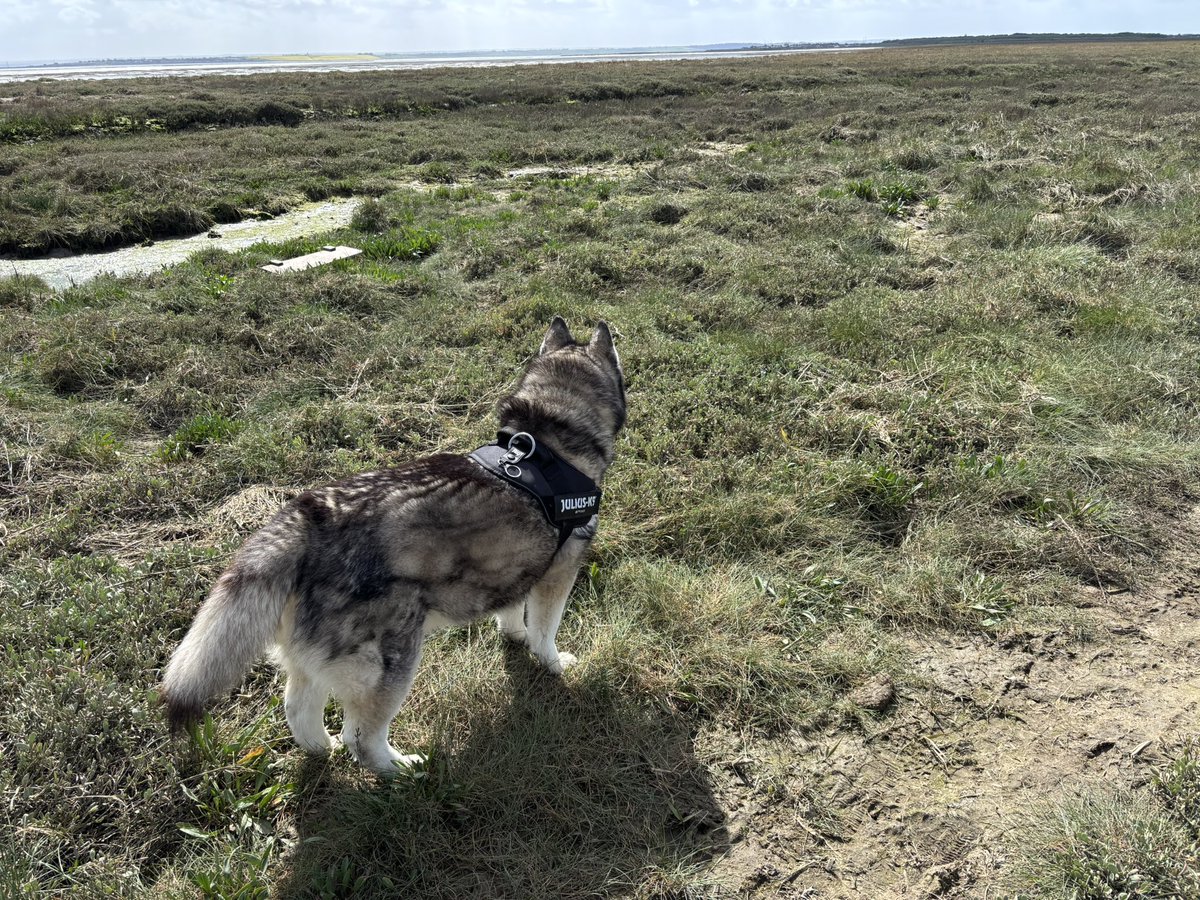 BC Richfield tweet media