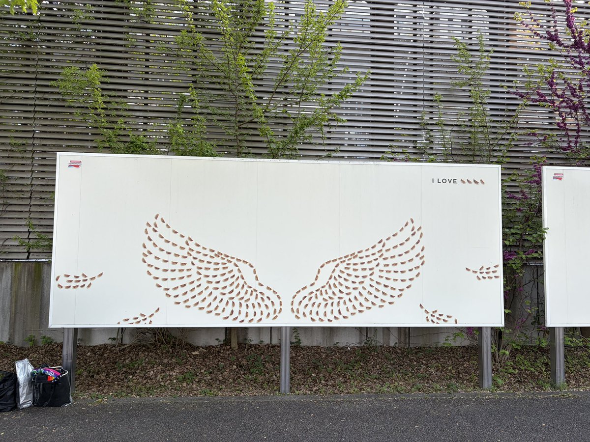 Jelia🇯🇵@✈️🎹♨️🐱☕️🥐🇩🇪🇪🇸好き tweet media