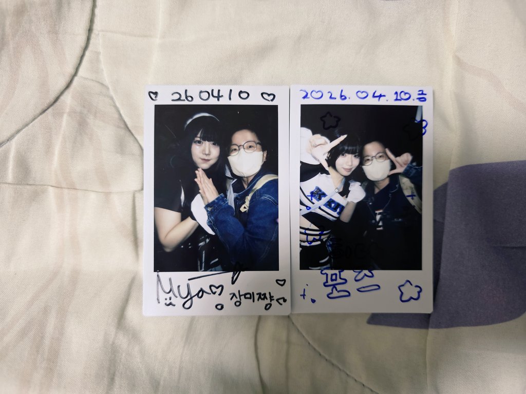 안장미 tweet media