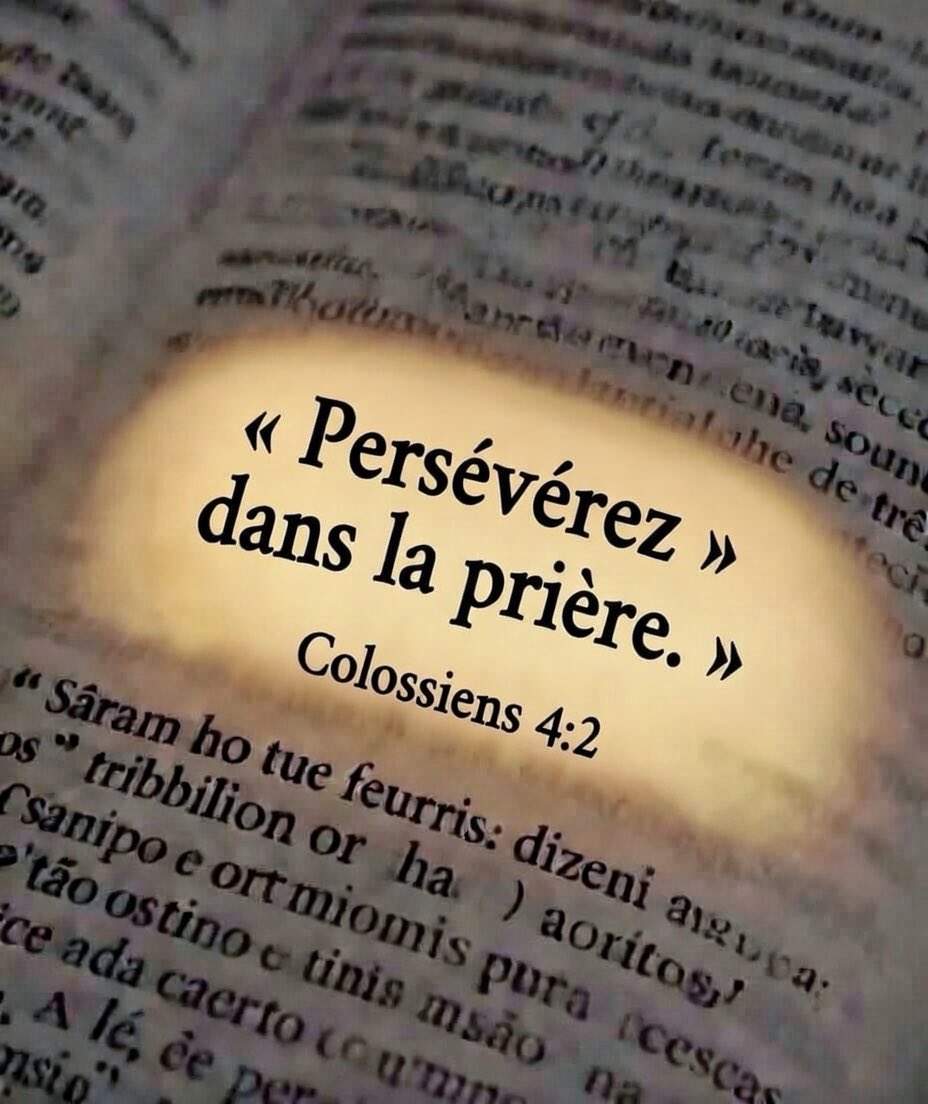 La Saine Doctrine (@sainedoctrine) on Twitter photo 