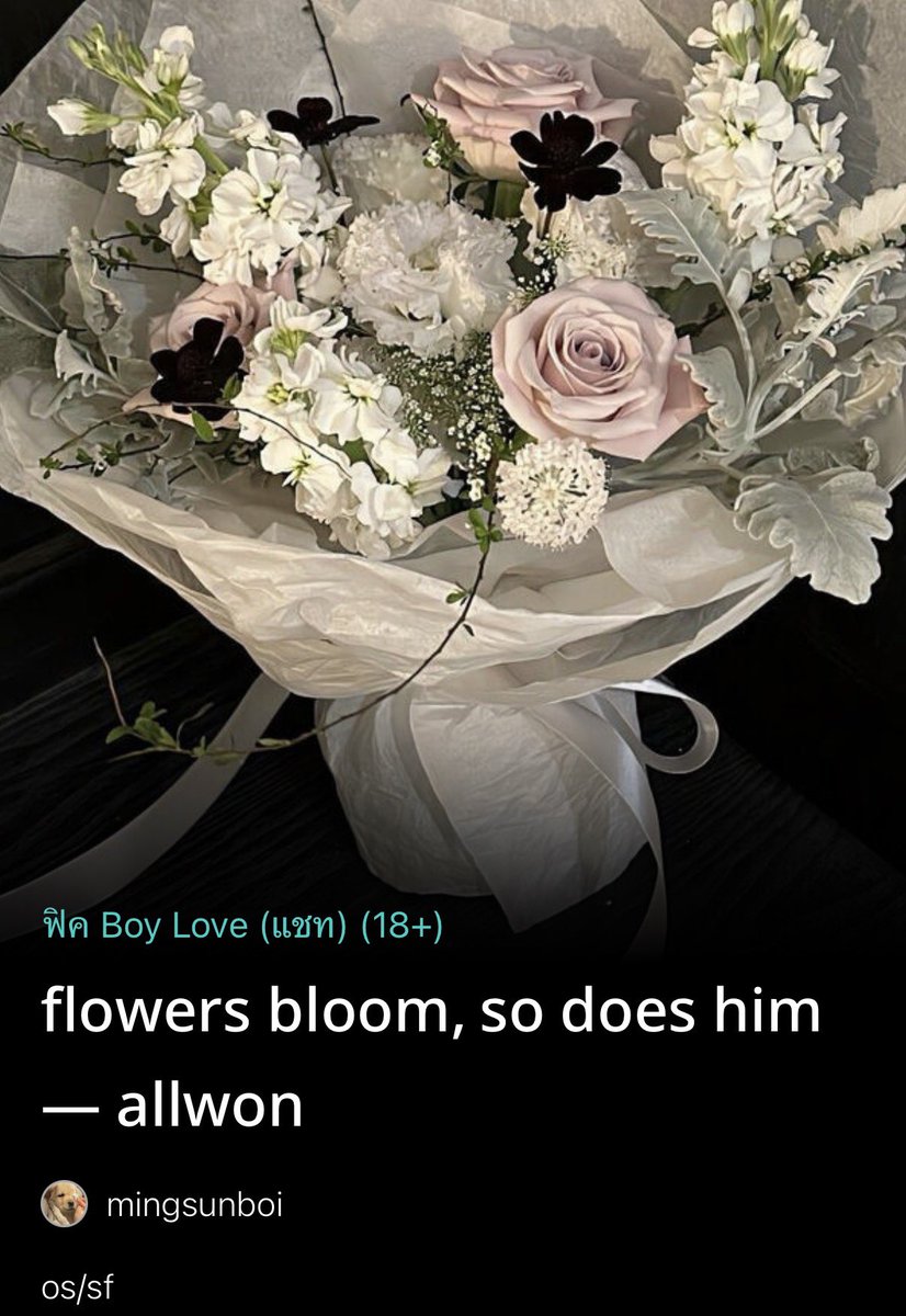 ᨳ imaor ഒ tweet media