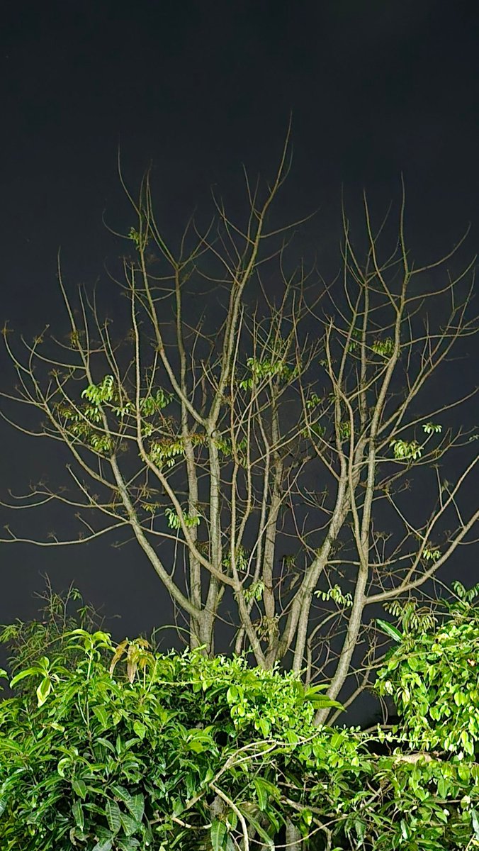 ในห้วงเวลา 🎀 tweet media