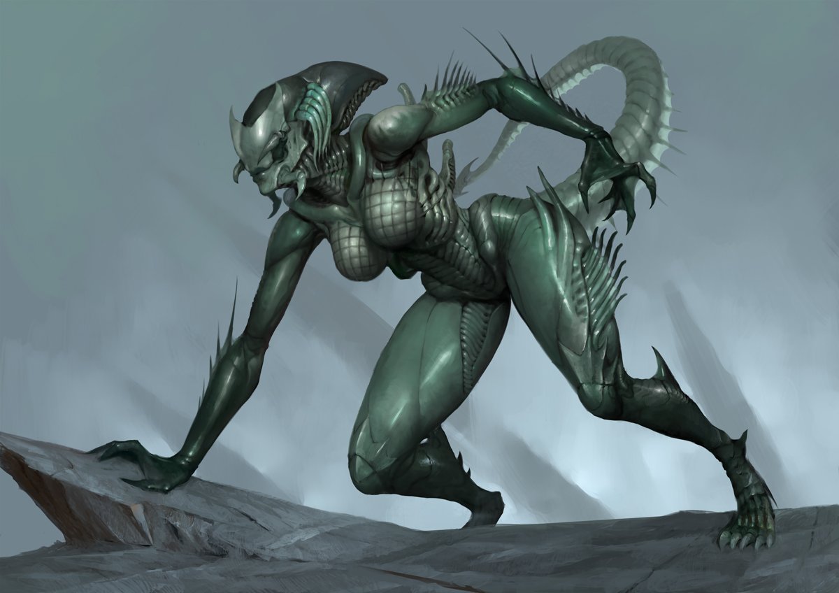 Oleg Bulakh | Comms open tweet media