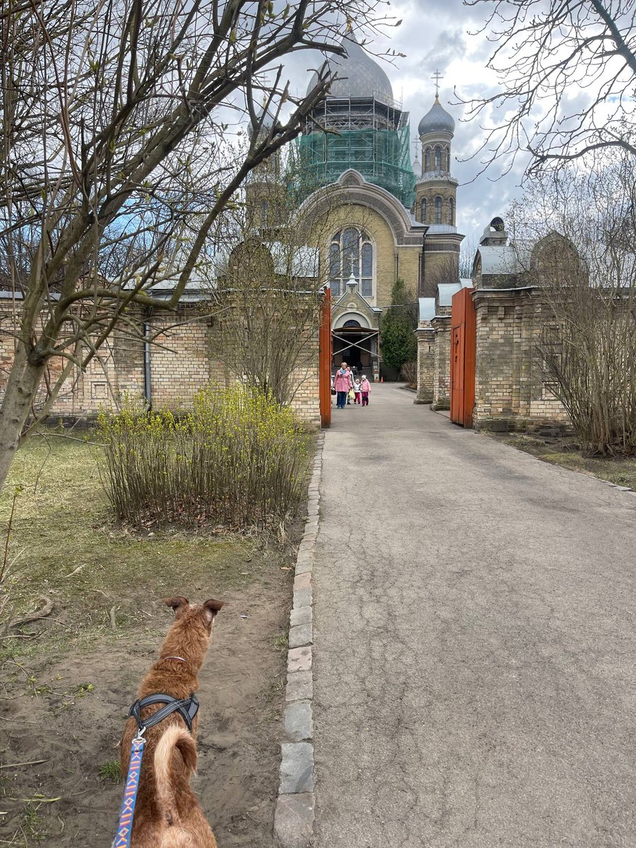 лотарева tweet media