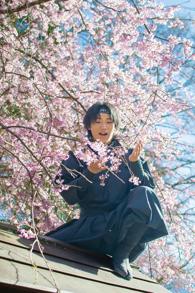 伊織【忍者】 tweet media