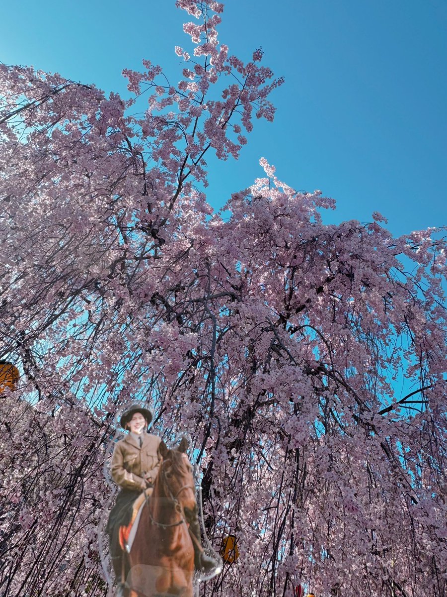 ゆう₍ᐢ‥ᐢ₎ ♡ tweet media