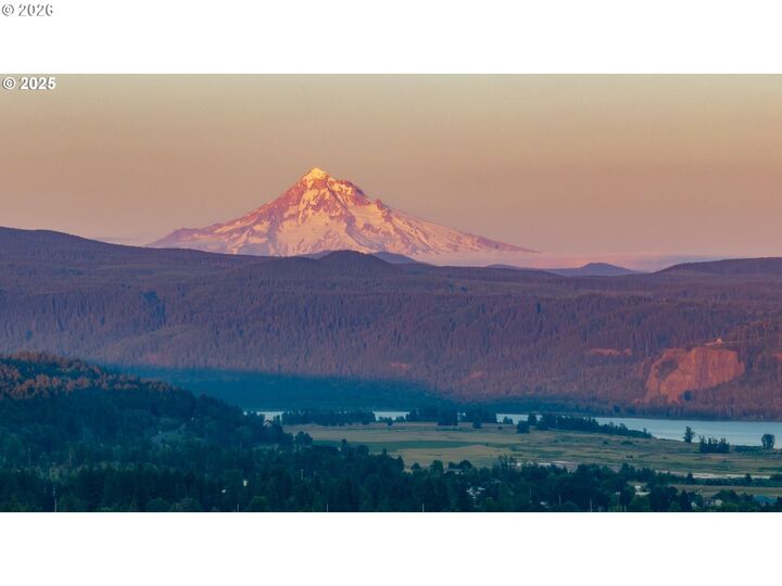 Luxury Real Estate tweet media