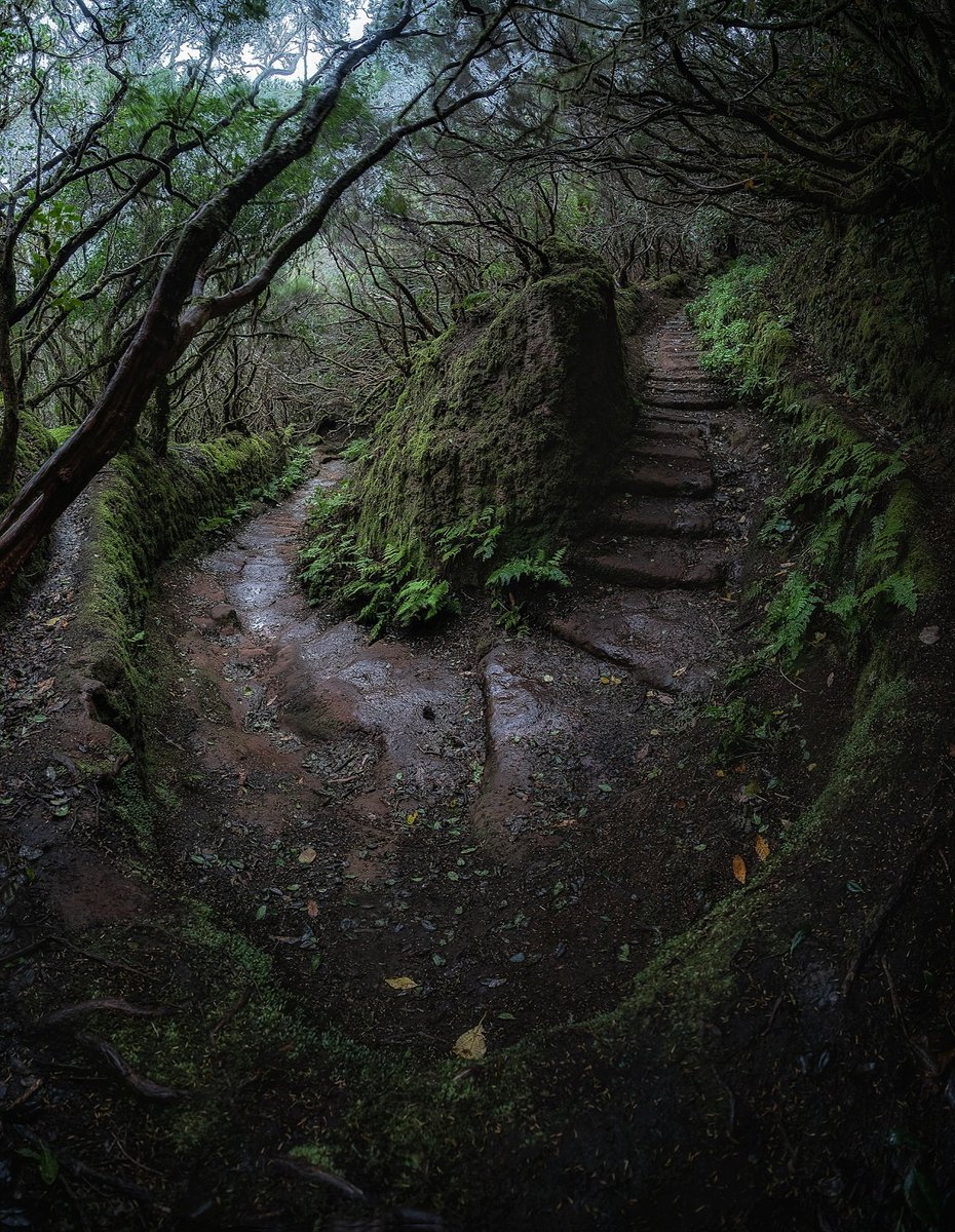 Efrén Yanes tweet media