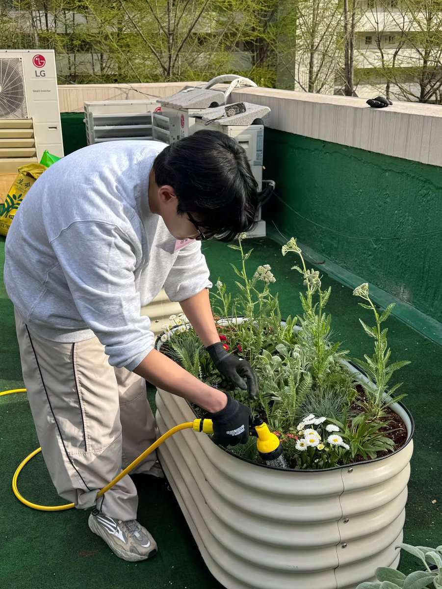 dy ⋆.𐙚 ̊ tweet media