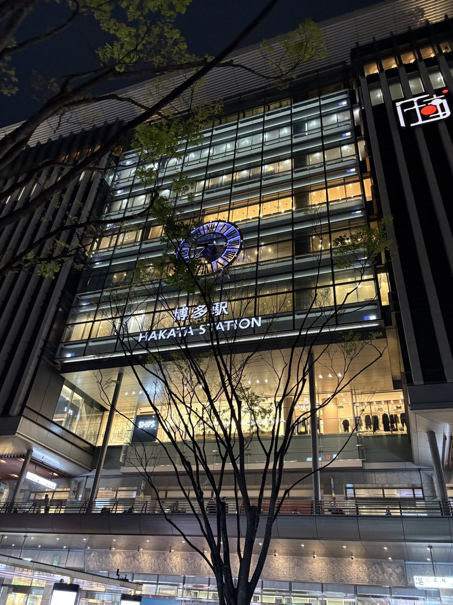 こうり tweet media