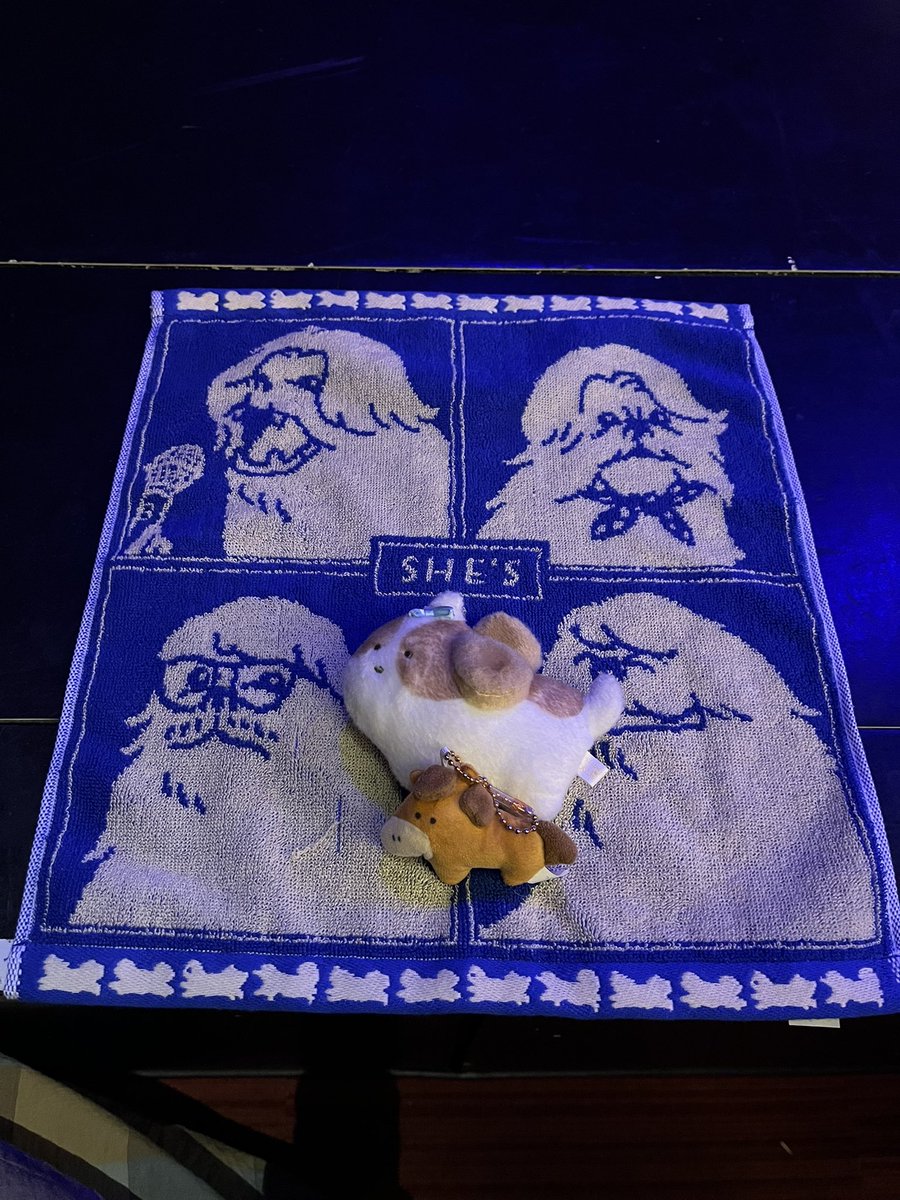 ぷるーと tweet media