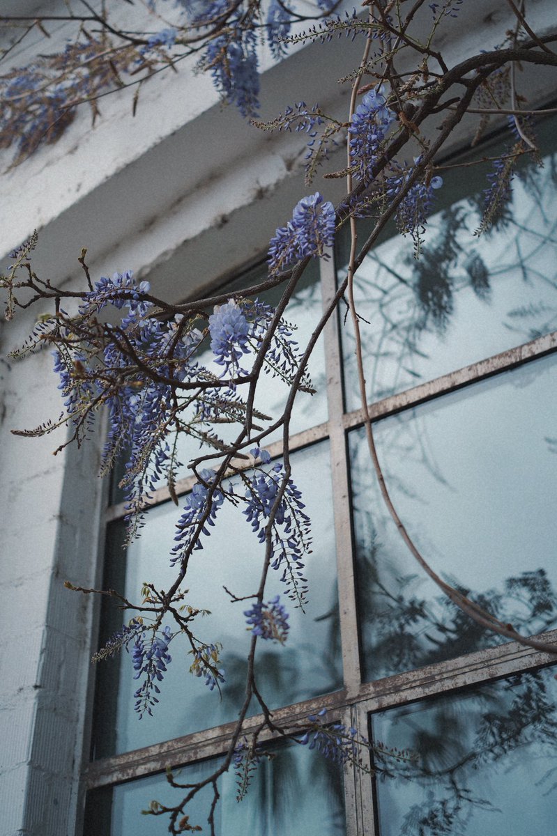 тот чувак из бара tweet media