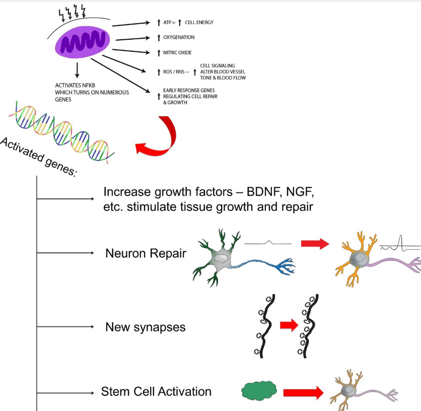 George Ferman tweet media