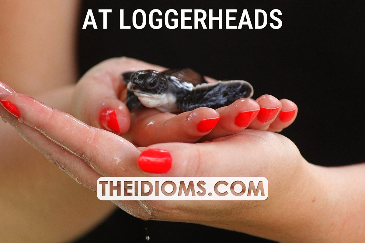 The Idioms tweet media