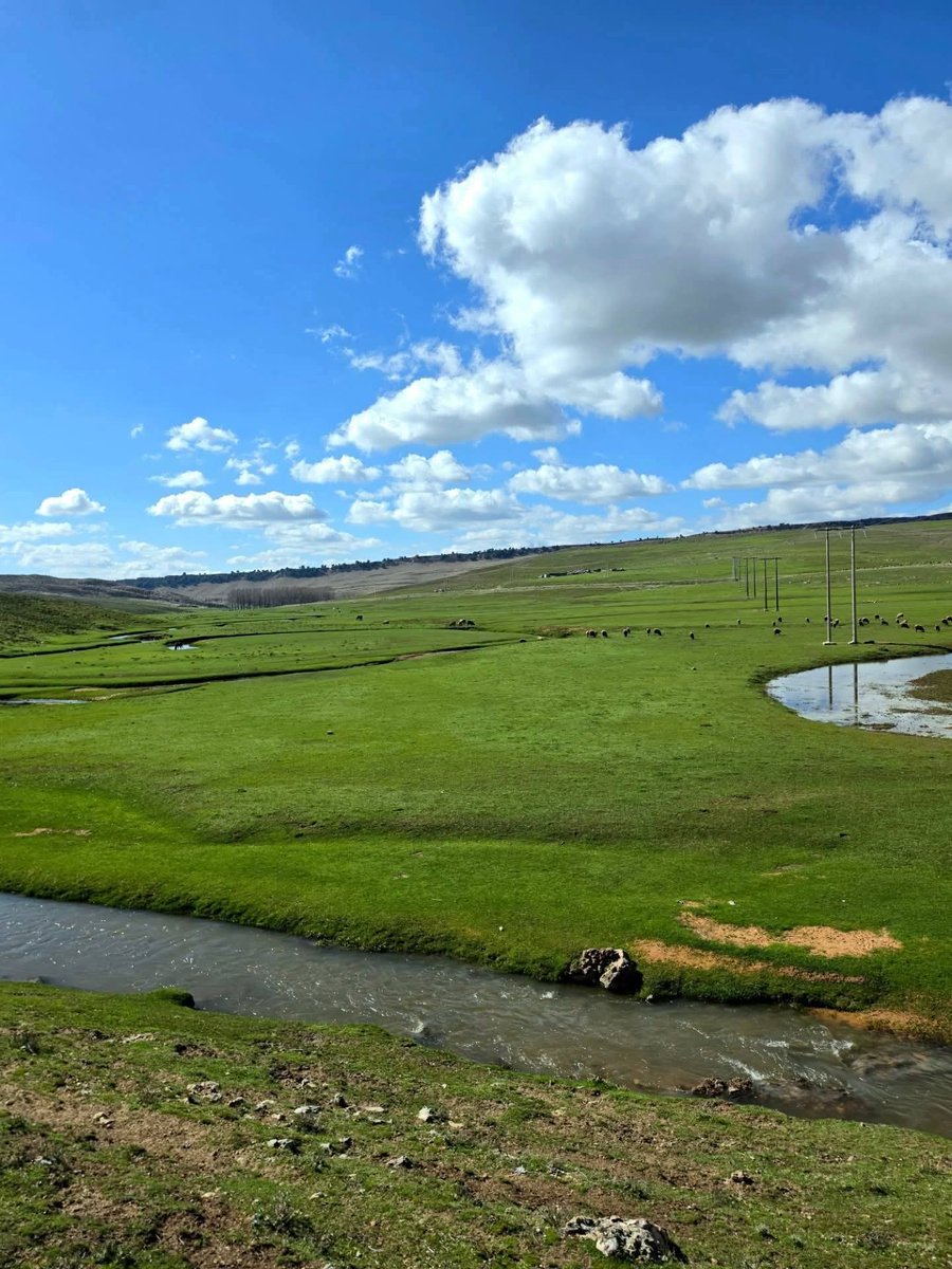 المبادرة المغربية tweet media
