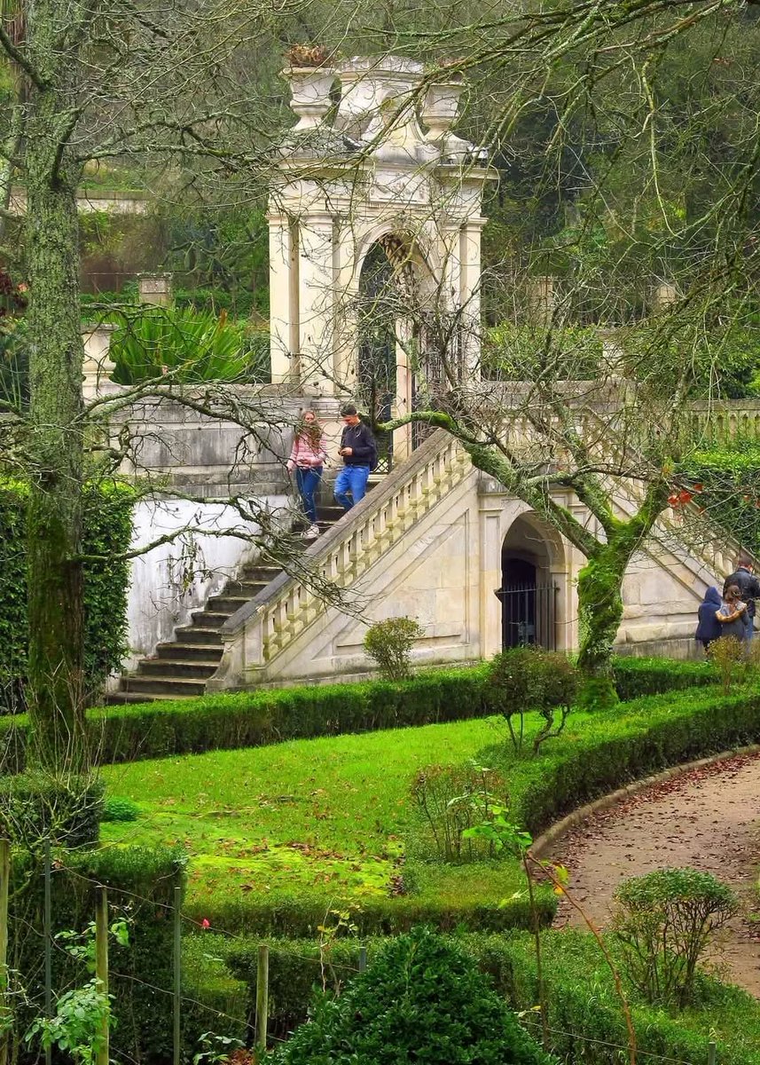 Portugalvideos's tweet image. Jardim Botânico da Universidade de Coimbra, localizado no coração da cidade de Coimbra desde 1772, por iniciativa do Marquês de Pombal.
Veja mais detalhes em nosso vídeo:
youtu.be/eLWJiL2xp80
#MaisPortugal #Coimbra #Portugal
