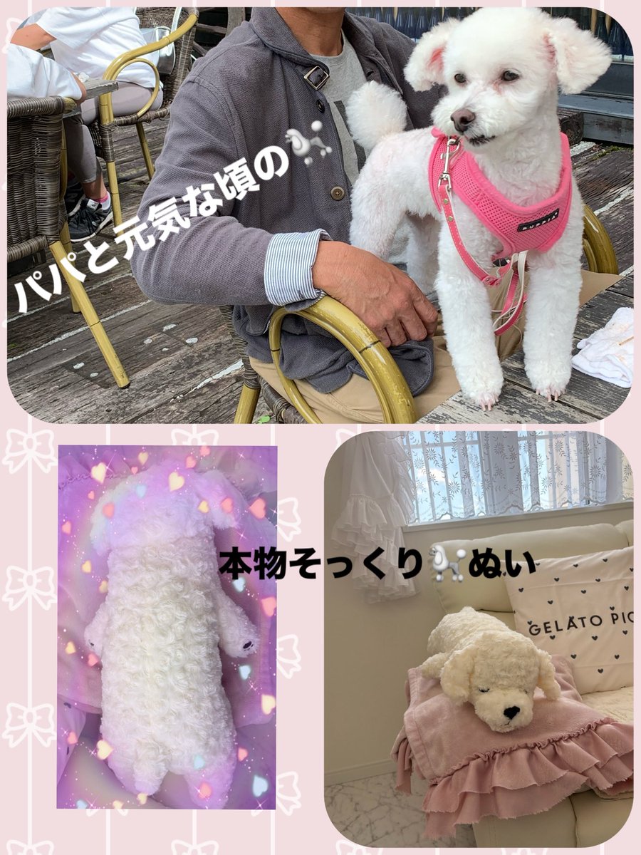 ⛄️Snowミィ💜💚🕰️🩵 tweet media