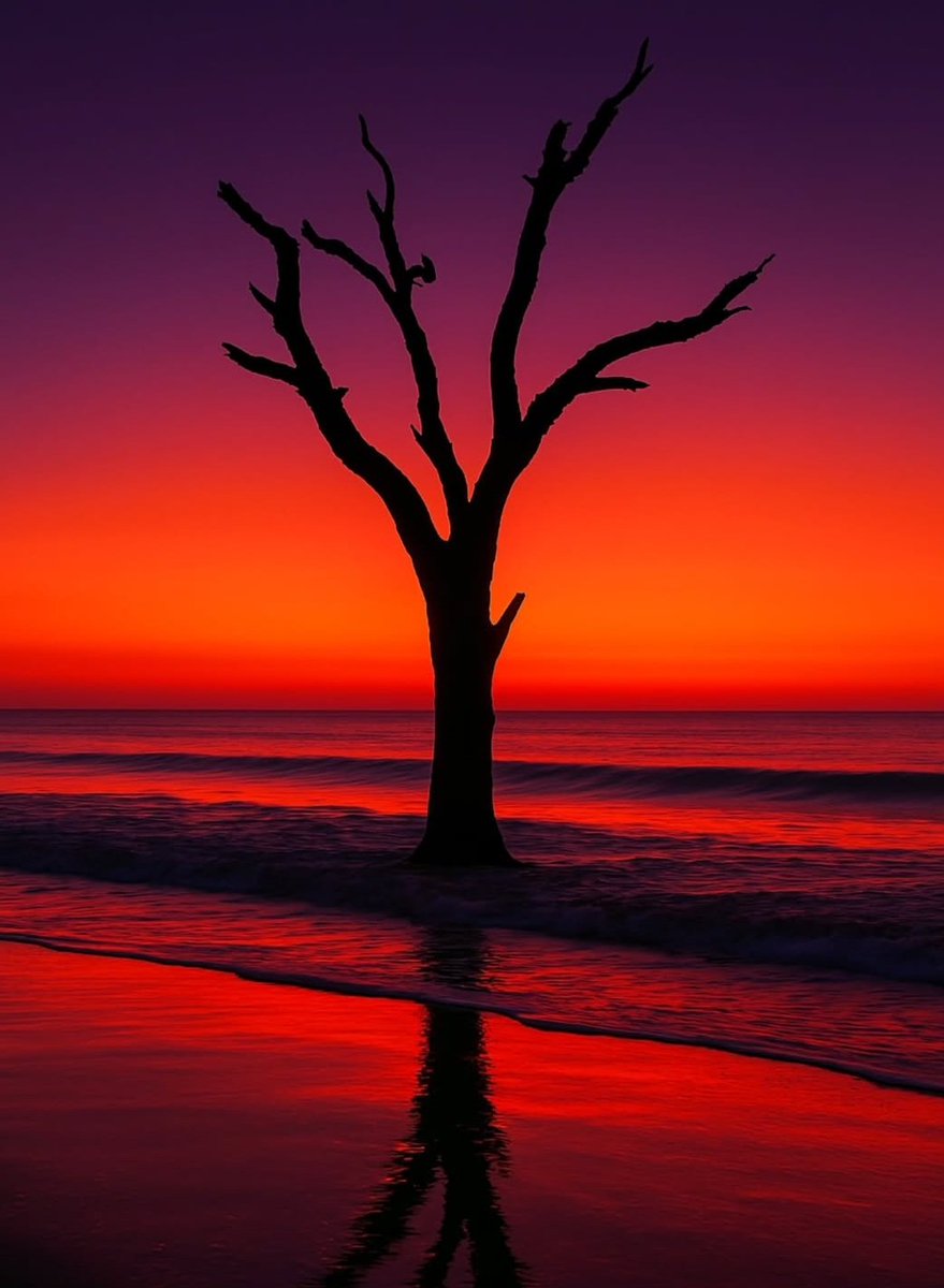 sam_autmn's tweet image. #Amazing #beautiful