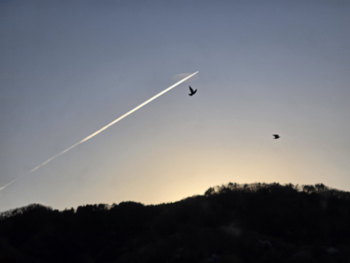 まるた@原神 tweet media