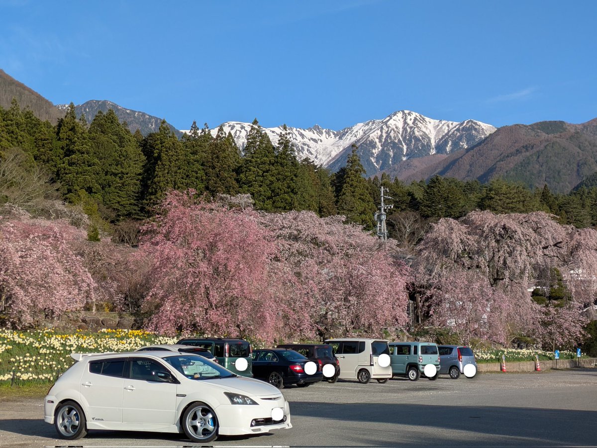 とれびん　RN:ニワトリストの旦那 tweet media