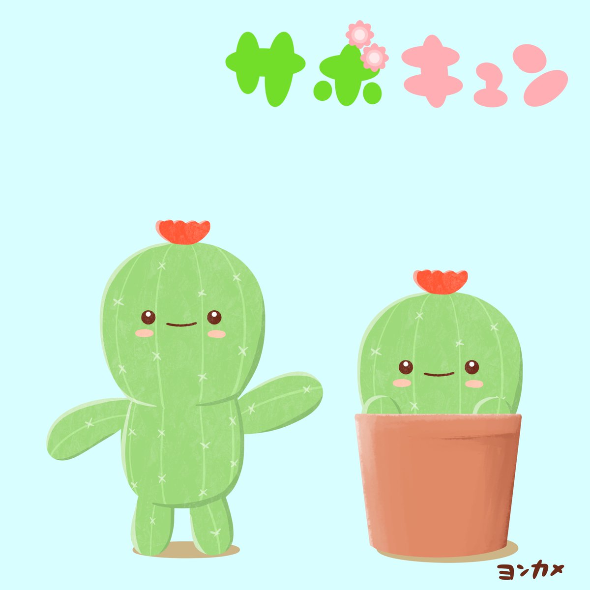 ヨンカメ tweet media