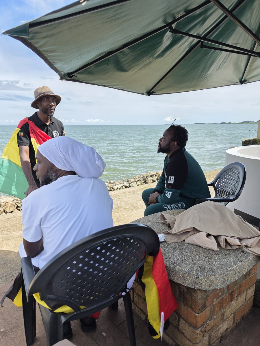 House OF Reggae tweet media