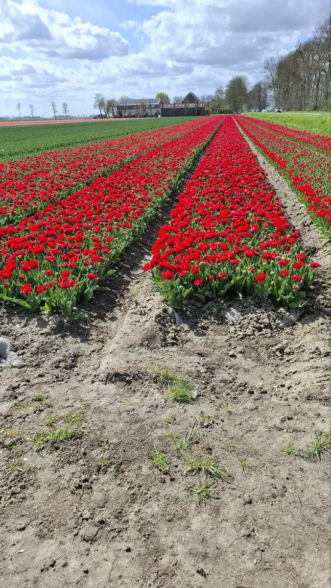 Jimmy Boy tweet media