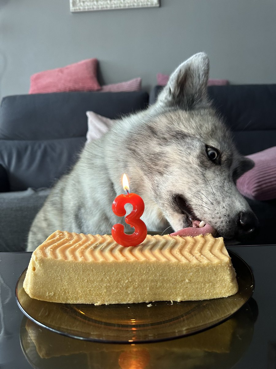 Laura 🌻 tweet media