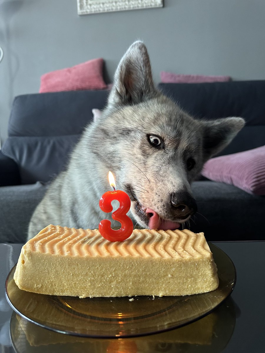 Laura 🌻 tweet media