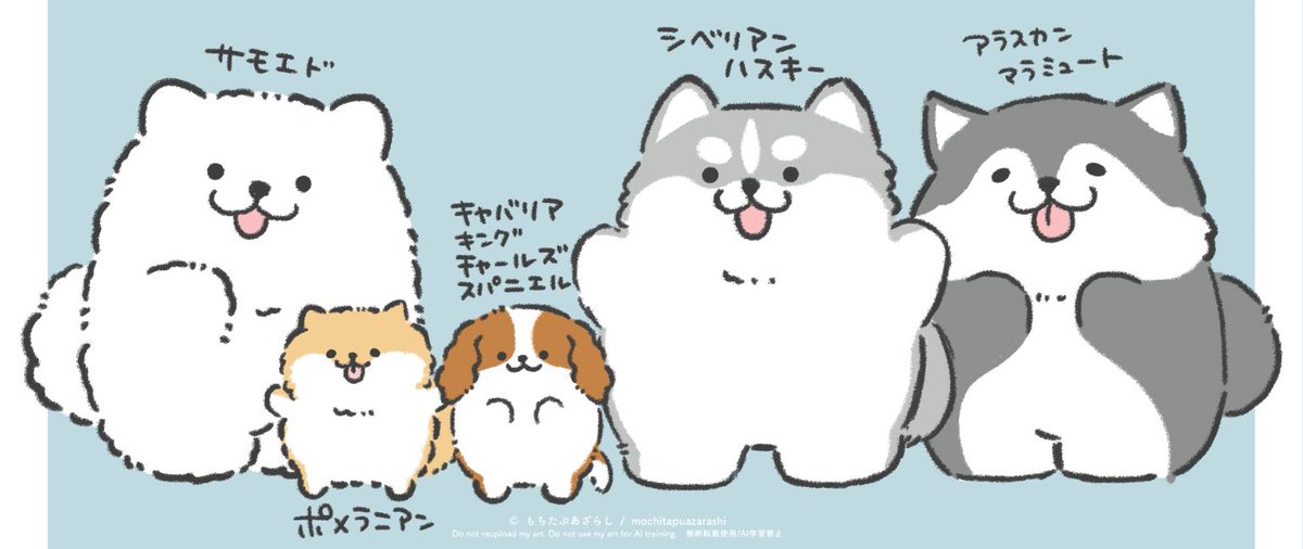 もちたぷあざらし tweet media