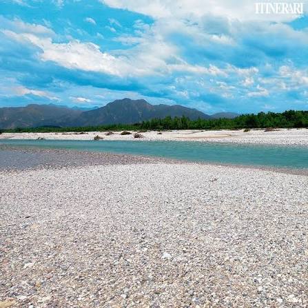 Reekhard'o tweet media