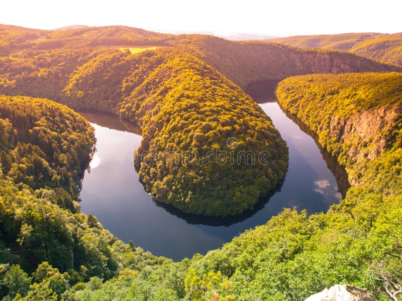 Reekhard'o tweet media