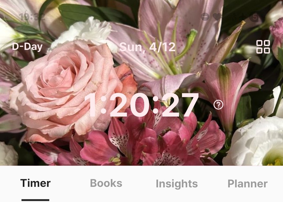 lipie²⁸ 🐾 tweet media