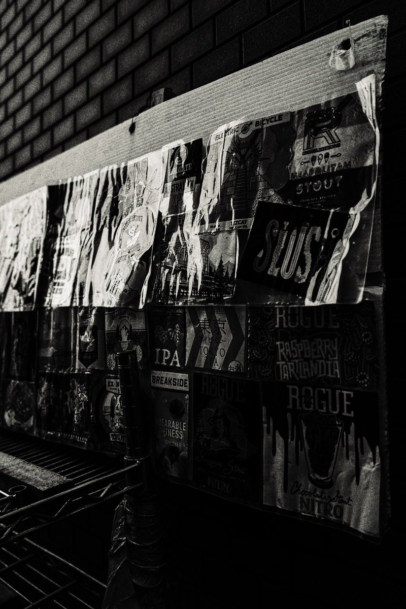 Choco Choco📸 tweet media