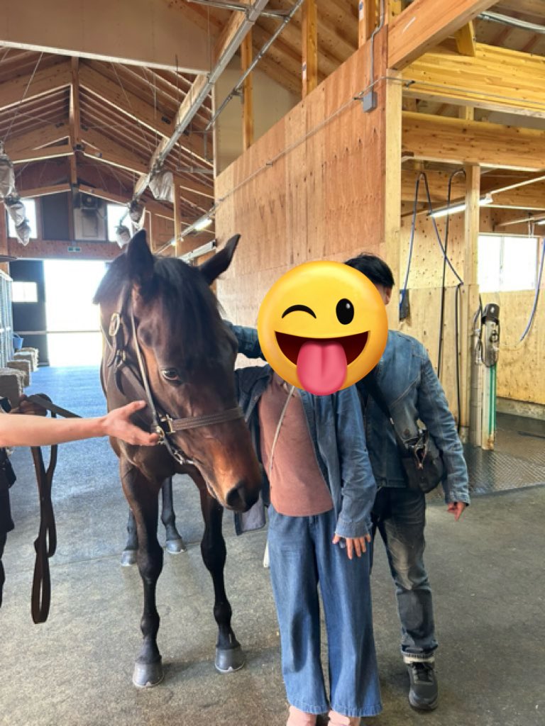 hiro6704's tweet photo. ダービー馬予定のコンジェスタス君 https://t.co/R3pE4BbNut