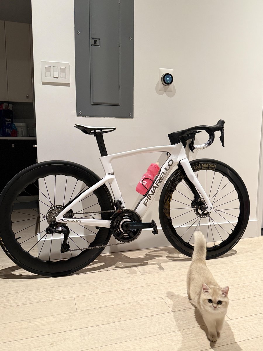 Milliee001s's tweet image. First ride on the grass to break it in—this is gonna be a fun year!Picked up my new ride today and met my official test passenger 🚲😼
#NewBikeDay