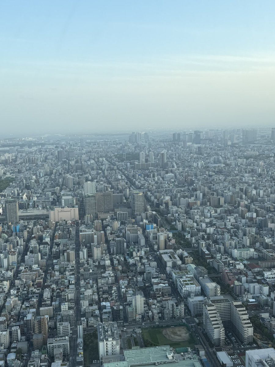 ヤニカス tweet media