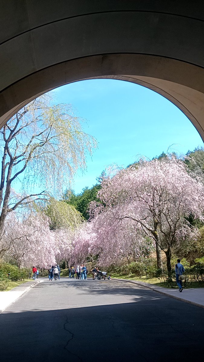 そうた tweet media