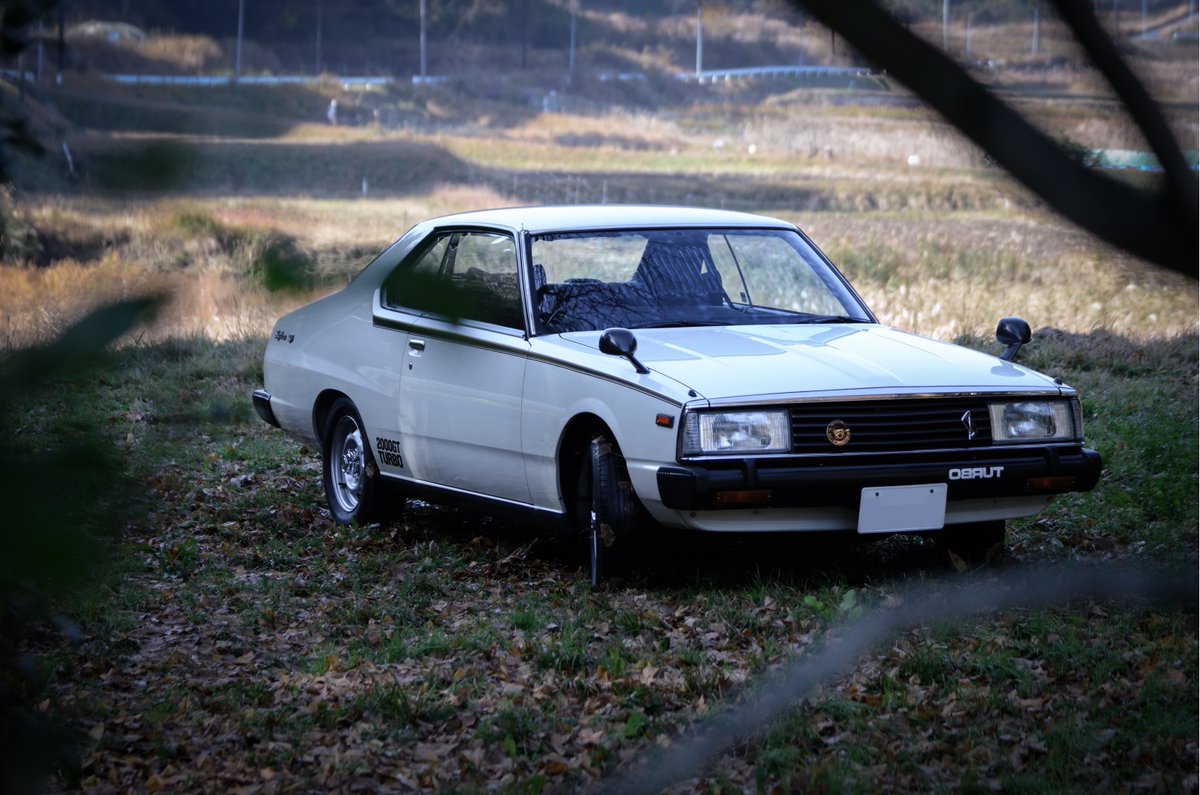 ヨッコイしょーいち tweet media